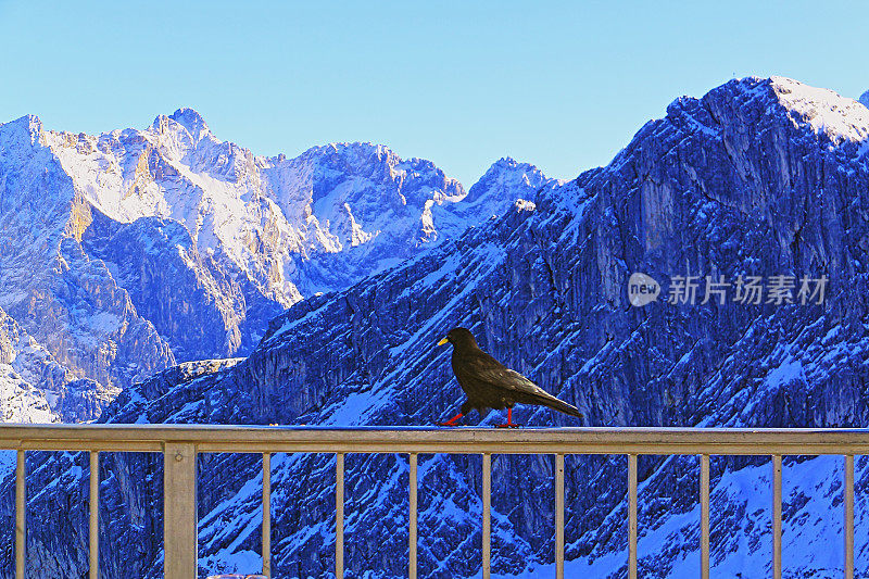 在雪顶的Zugspitze，田园诗般的风景从山顶，雄伟的巴伐利亚阿尔卑斯山，戏剧性的巴伐利亚德国雪顶山脉全景，Garmisch Partenkirchen，德国